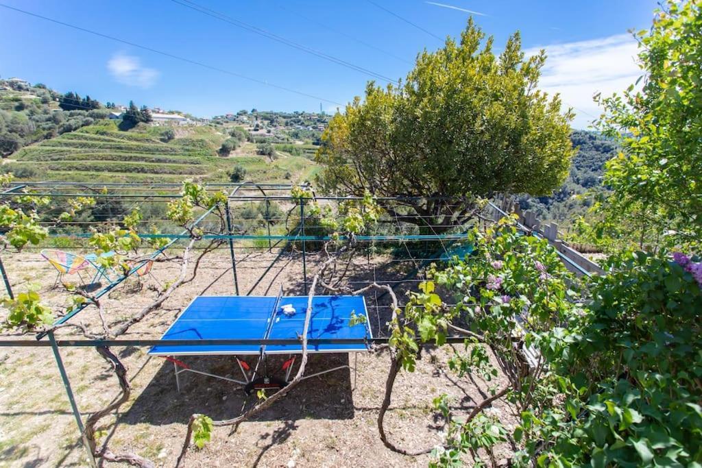 Echapee Belle - Vinayard View - Jacuzzi Bbq - Parking Daire Nice Dış mekan fotoğraf