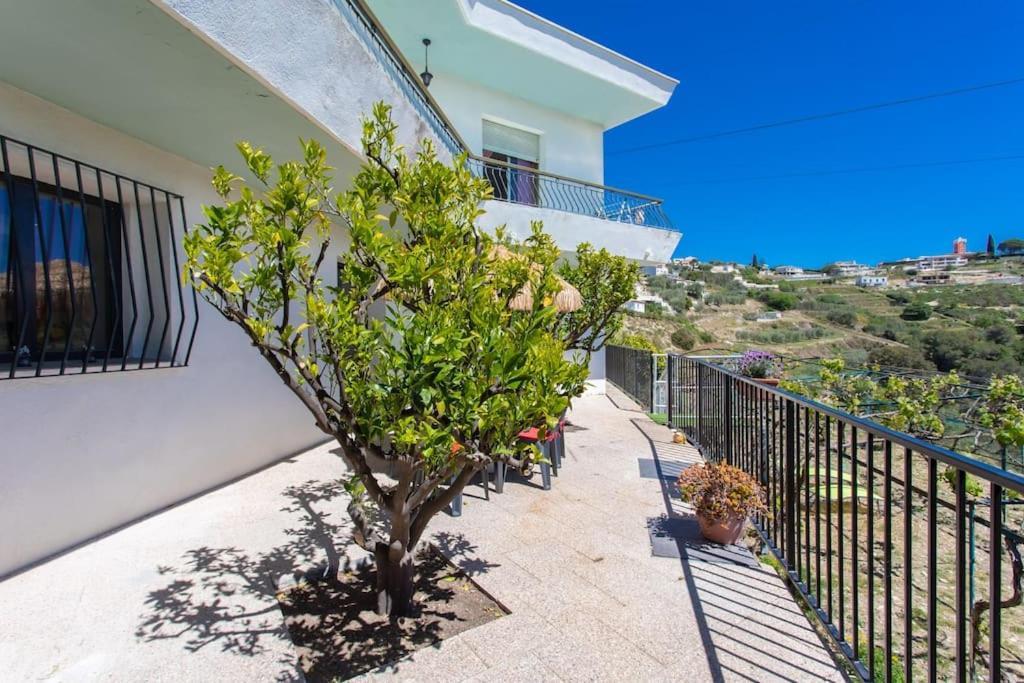 Echapee Belle - Vinayard View - Jacuzzi Bbq - Parking Daire Nice Dış mekan fotoğraf
